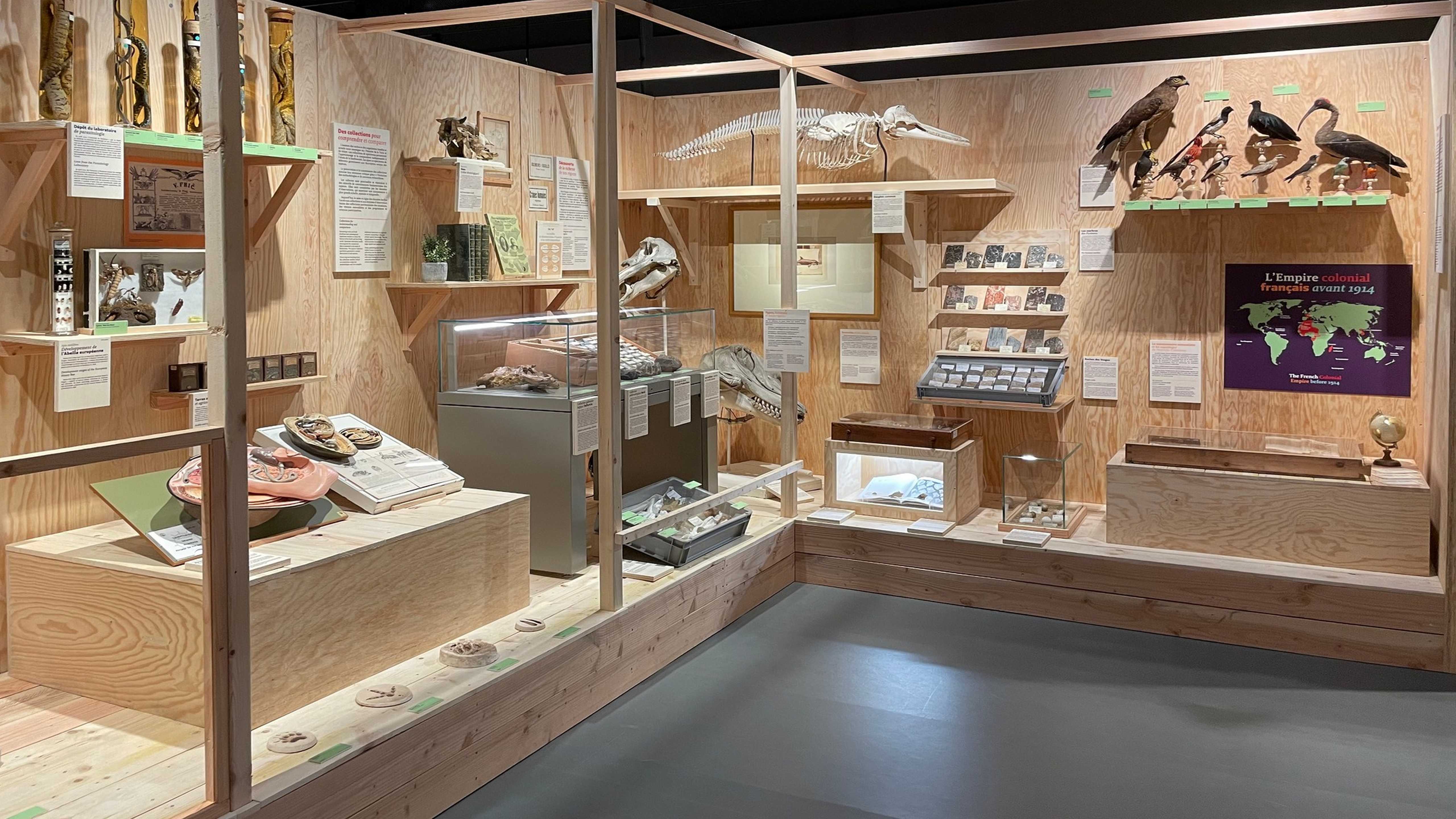 Bordeaux : le Muséum fait découvrir les coulisses de la collection naturaliste