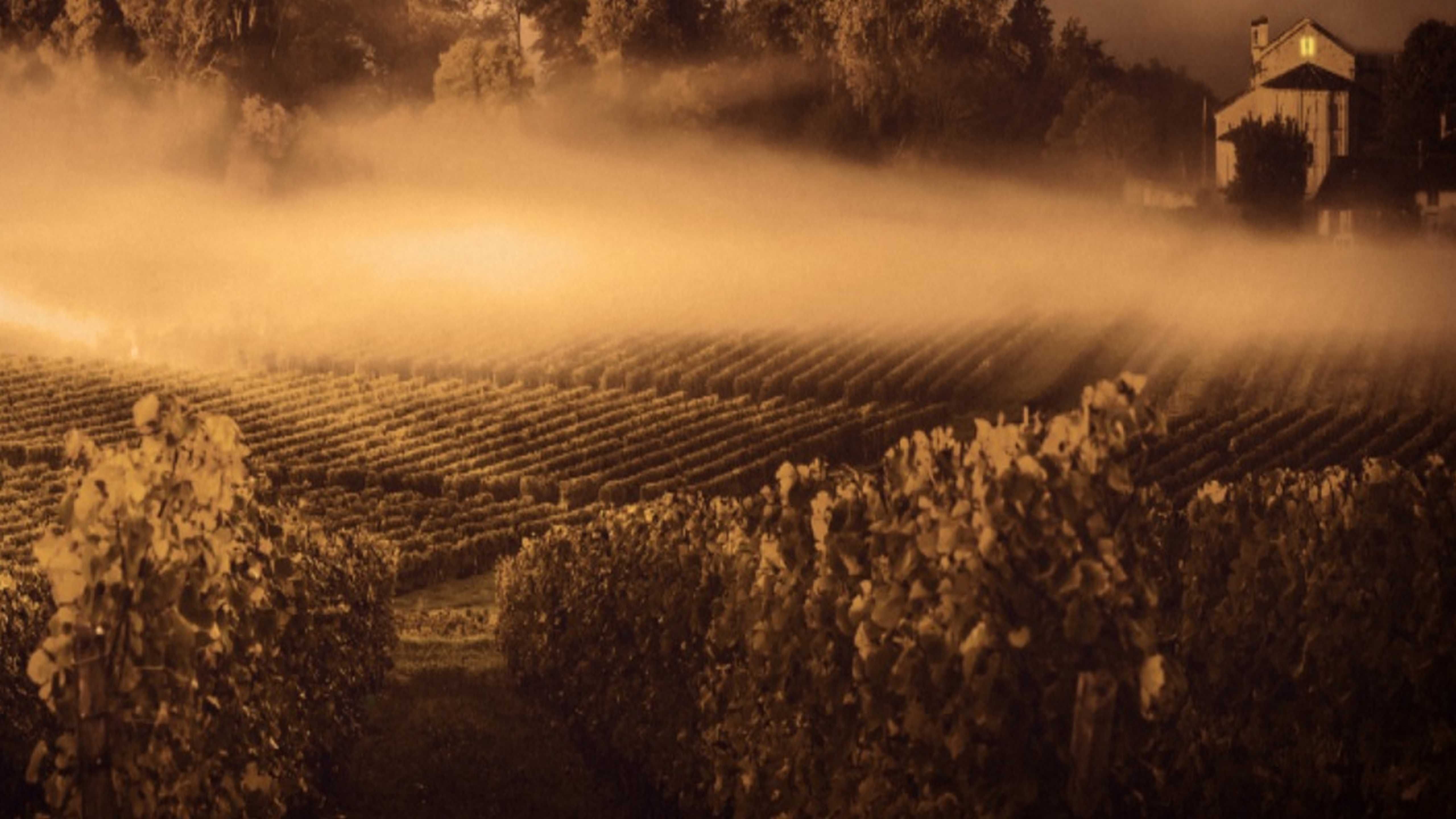 Un escape game pour découvrir le monde des métiers de la vigne et du vin 