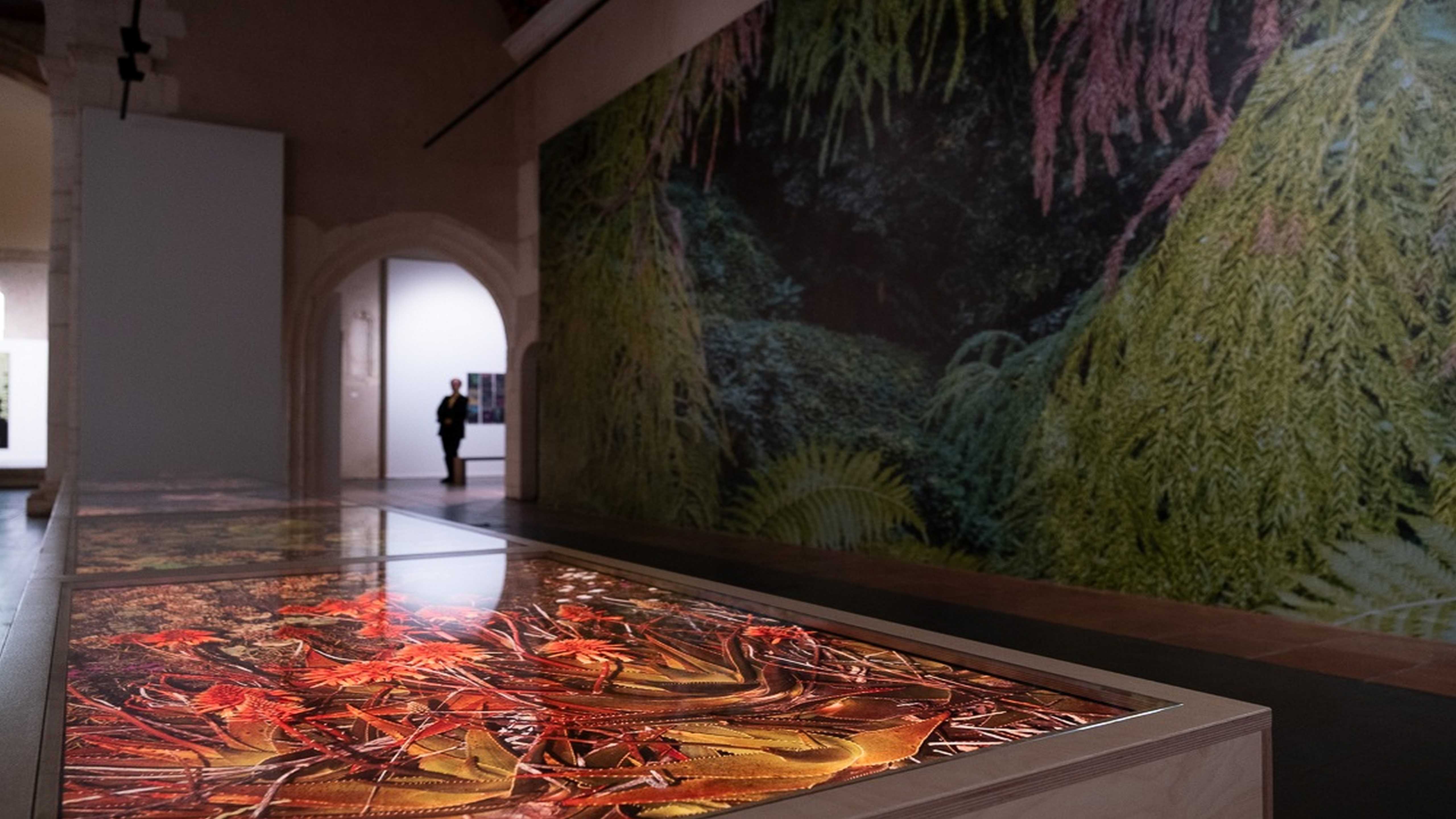 Mérignac : "Mythologies", exposition de Letizia Lefur à la Vieille Église